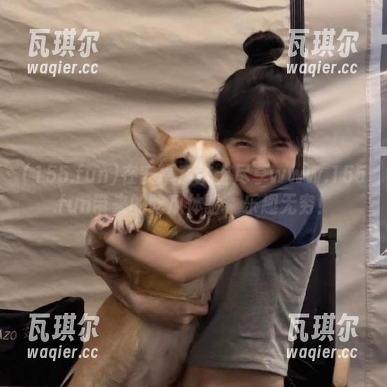 在安卓系统上尽享www.155.fun带来的吃瓜体验，乐趣无穷！