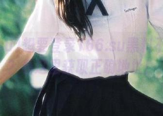 想要登录166.su黑料不打官网？看这里获取正确地址！