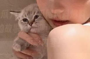 17c吃瓜网黑料爆料，揭秘偶像背后的故事，欢迎访问网站入口，获取精彩内容！