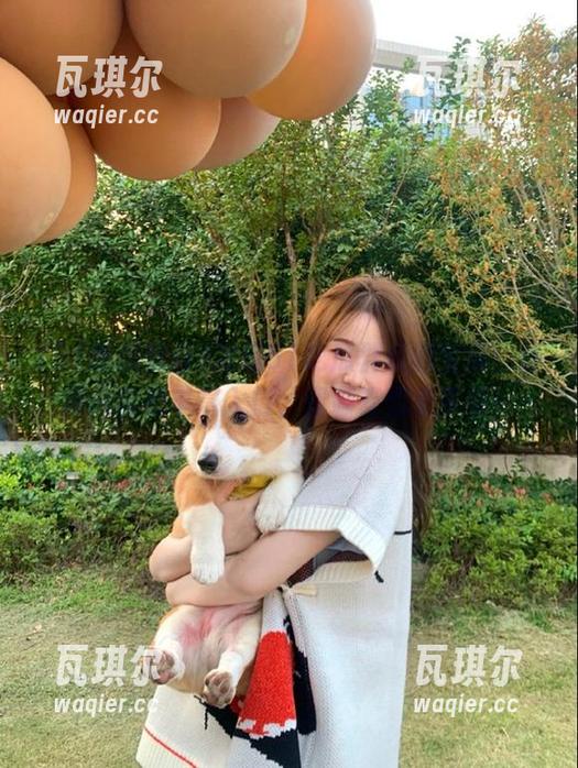 发现51吃瓜群众的宝藏：往期内容和丰富入口、资源等你来享受！