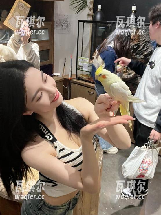 吃瓜91网在线首页，尽享八卦盛宴，娱乐新闻不容错过！