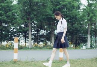 玩转吃瓜大本营网站，在线追踪女生最爱八卦