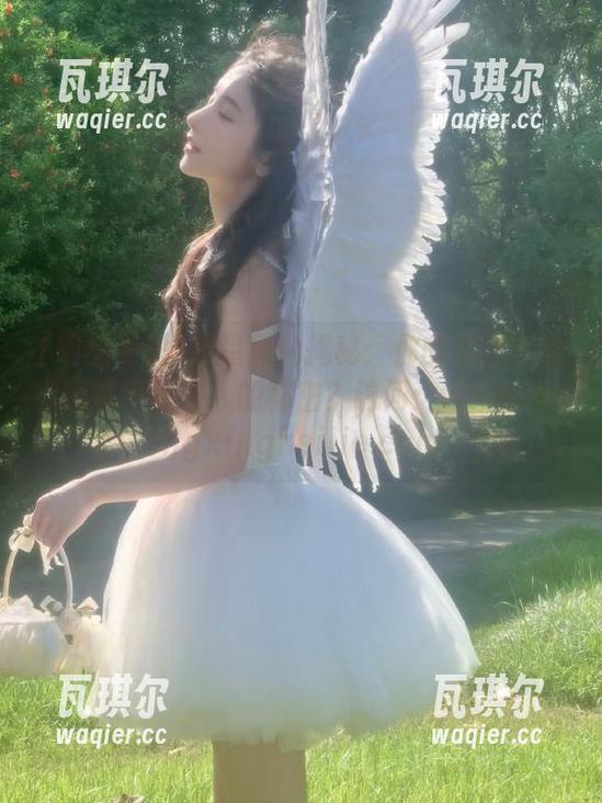 明星黑料揭秘：你的偶像背后有哪些不可告人的秘密？访问：www.mingxingheilie.com