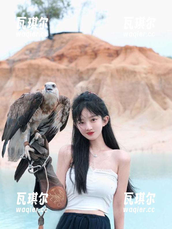 网曝黑料震撼揭秘，永不迷路助你永远不迷路识真伪