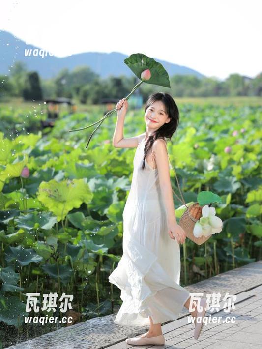黑料不打烊 在线追踪黑料不打烊内容,在线观看入口和详细链接分享