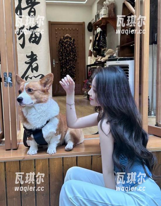 黑料不打烊 通过黑料不打烊万里长征,观看最热新闻,直达娱乐圈的所有黑暗角落!