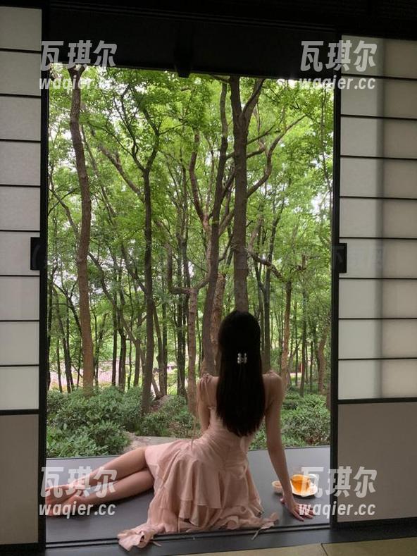 黑料正能量1080p下载网站使用指南和收藏技巧