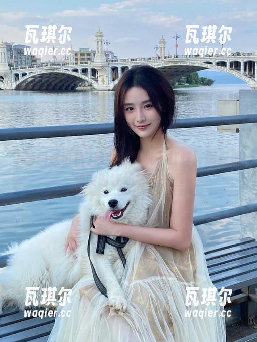 黑料老司机不打烊，爆料视频实时在线等你来看