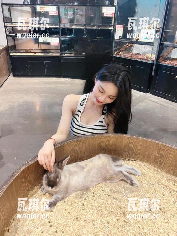 深入黑网料网页，探讨吃瓜文化与网络现象的交织。
